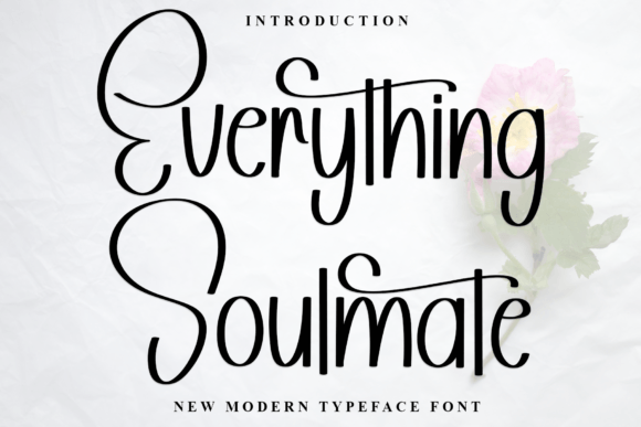Everything Soulmate Font Review for Web Designers